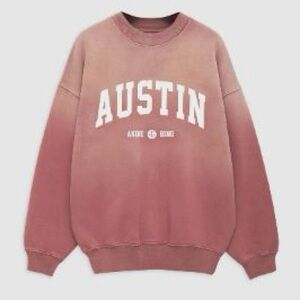 Anine Bing Jaci Sweatshirt University Austin in Washed Faded Terracotta